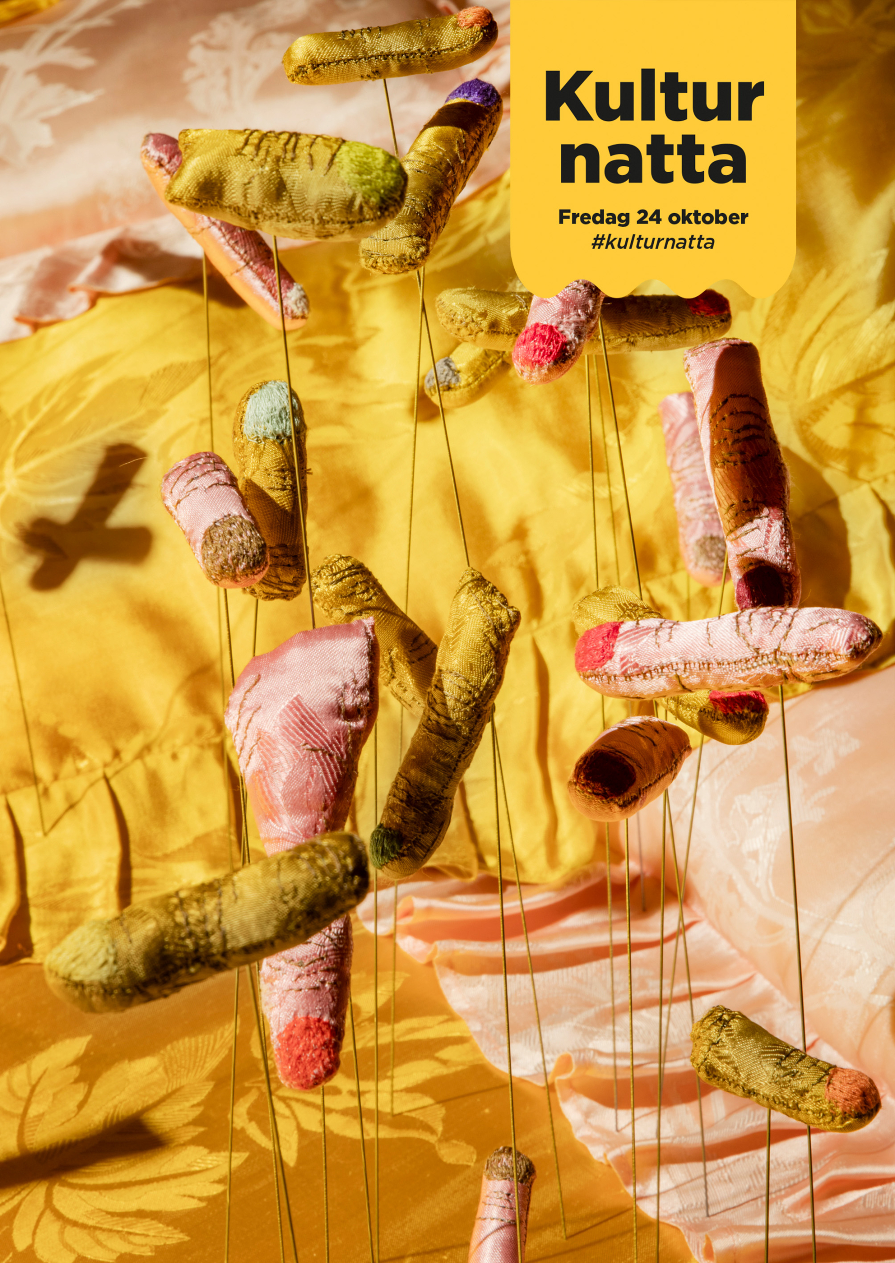 Fältstudier: Kulturnatta