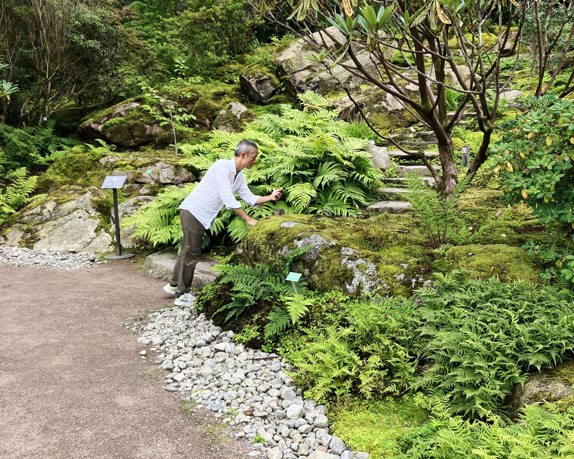 mossvandring i göteborgs botaniska trädgård